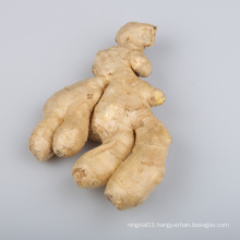 Chinese fresh ginger air dried ginger